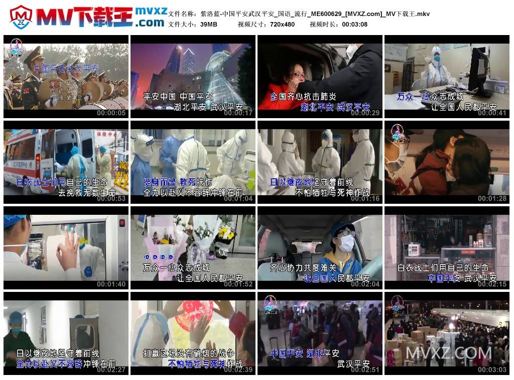 紫洛蓝-中国平安武汉平安_国语_流行_ME600629